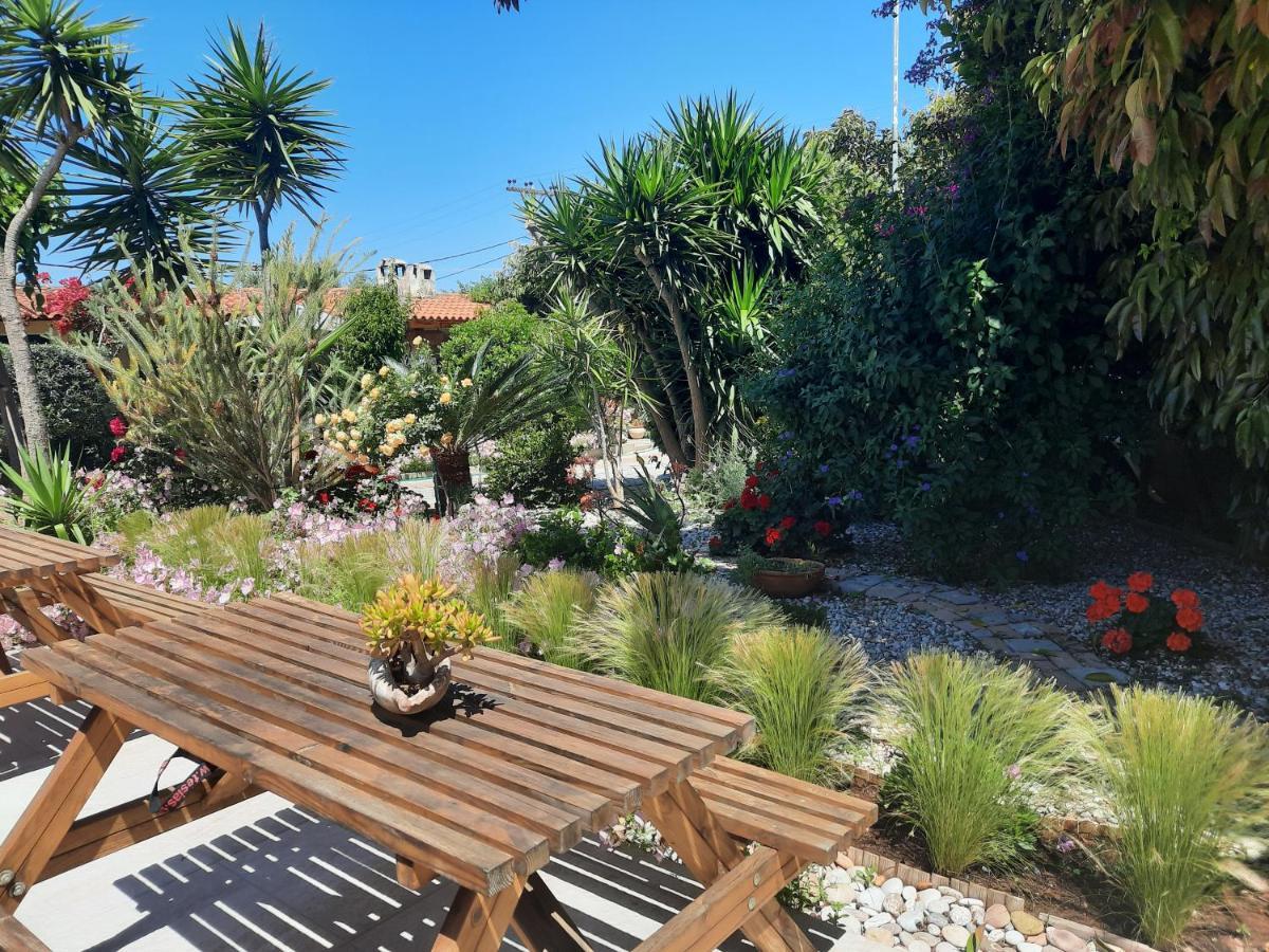 Athina Apartments Stoúpa エクステリア 写真